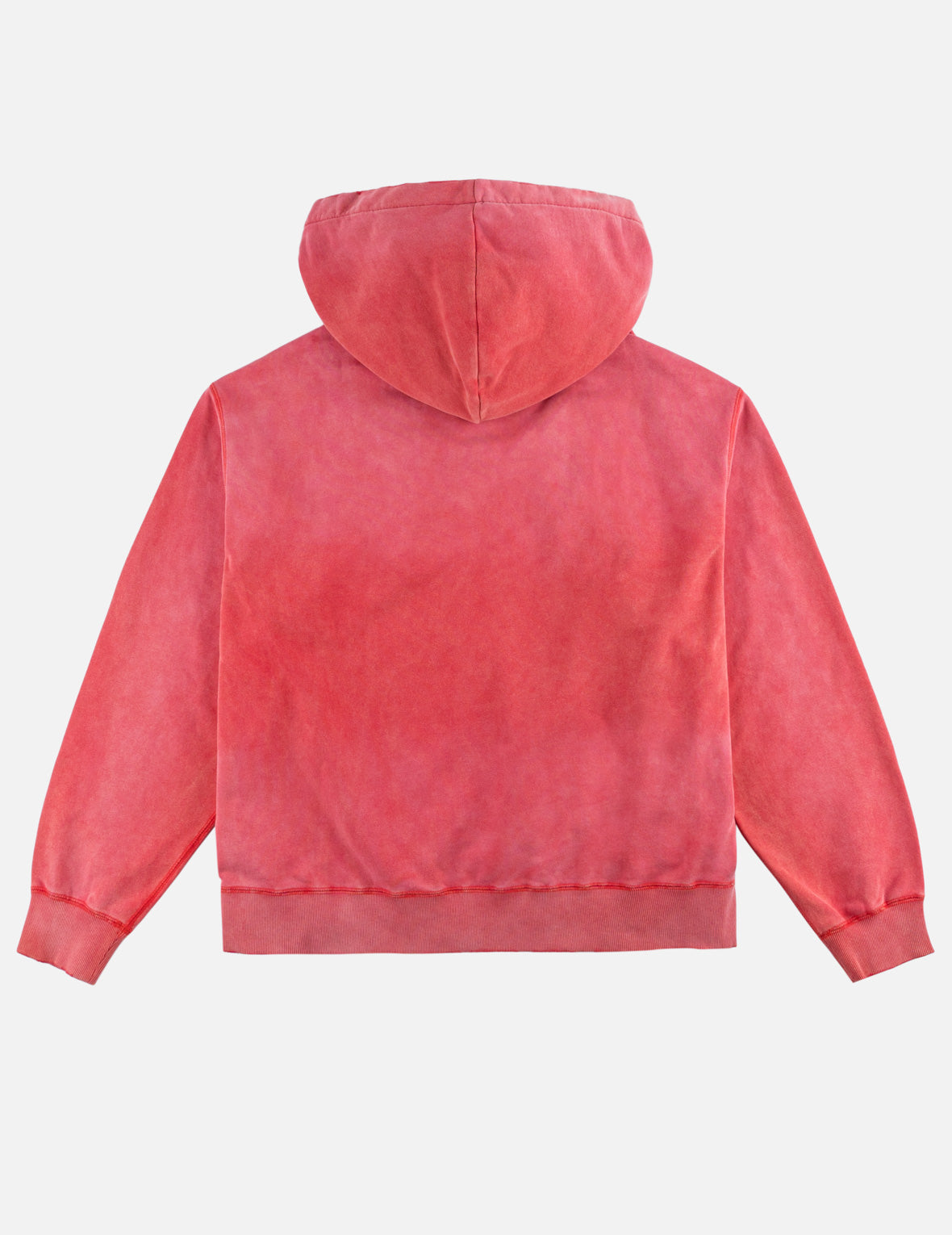 Washed EVISU Dry All Goods Hoodie